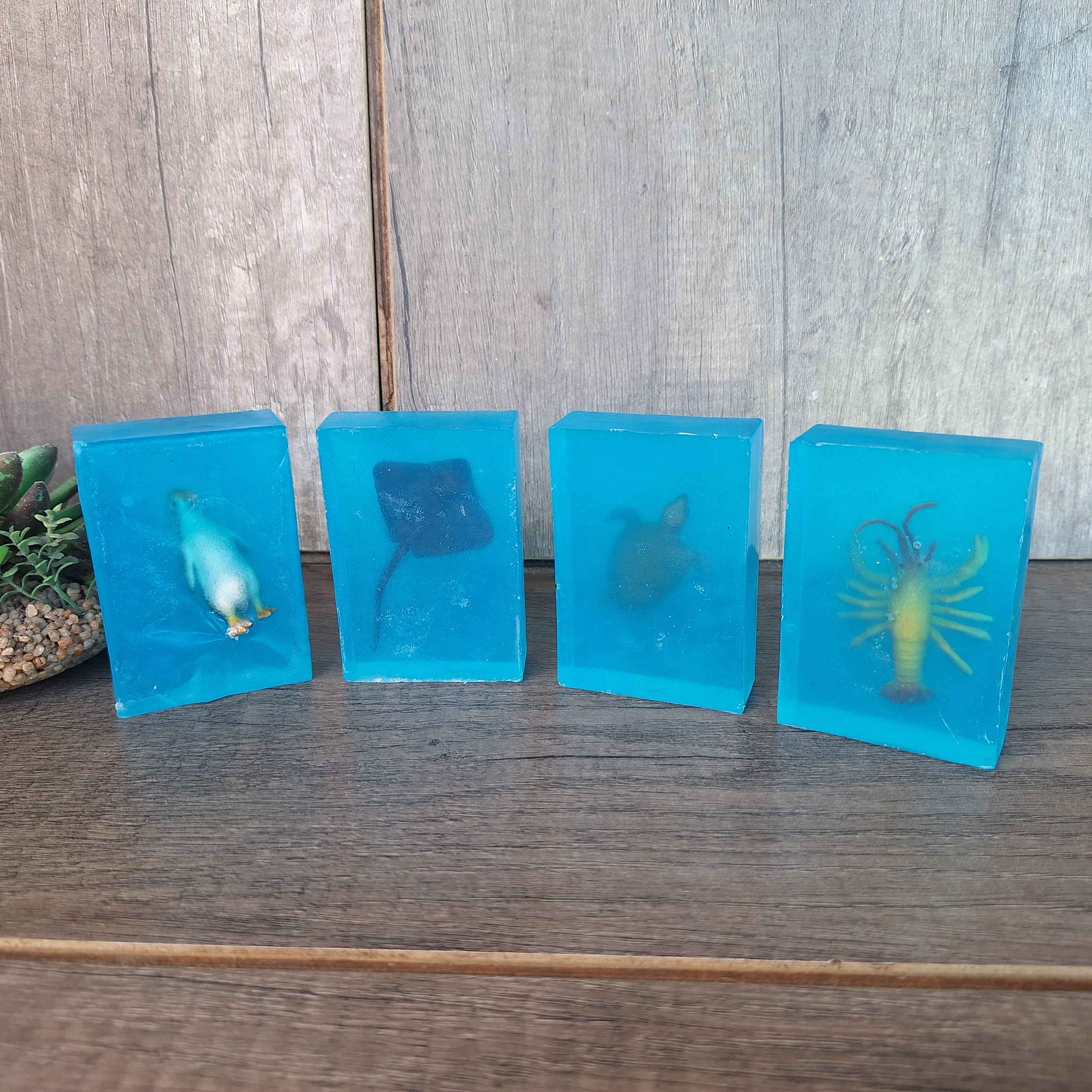 20260909_092814.jpg Sea Creatures Soap - Image 1